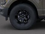 2025 Ford F-150 SuperCrew Cab 4x4 Pickup for sale #4250380 - photo 19