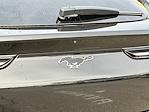 New 2025 Ford Mustang Mach-E Premium for sale #4251031 - photo 33