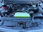 New 2025 Ford F-150 Tremor SuperCrew Cab for sale #4251170 - photo 34