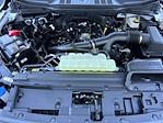 New 2026 Ford F-150 STX SuperCrew Cab for sale #4260093 - photo 31