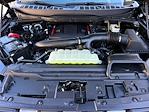 New 2026 Ford F-150 Raptor SuperCrew Cab for sale #4260133 - photo 34