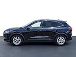 2025 Ford Escape FWD SUV for sale #P1616 - photo 13