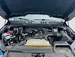 2023 Ford F-150 SuperCrew Cab 4WD Pickup for sale #H50011D - photo 30