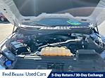 2023 Ford F-150 SuperCrew Cab 4WD Pickup for sale #H50030D - photo 32