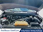 2023 Ford F-150 SuperCrew Cab 4WD Pickup for sale #H50037D - photo 32