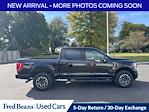 2023 Ford F-150 SuperCrew Cab 4WD Pickup for sale #H50038D - photo 9