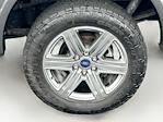 2019 Ford F-150 SuperCrew Cab 4WD Pickup for sale #H50074P1 - photo 31