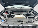2023 Ford F-150 SuperCrew Cab 4WD Pickup for sale #H502201 - photo 32