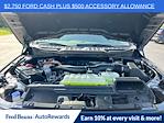 2025 Ford F-150 SuperCrew Cab 4x4 Pickup for sale #H50424 - photo 31