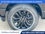 2025 Ford F-150 SuperCrew Cab 4WD Pickup for sale #H50439 - photo 32