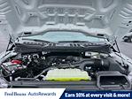New 2025 Ford F-150 STX Super Cab 4WD Pickup for sale #H50467 - photo 29
