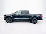 New 2025 Ford F-150 XLT SuperCrew Cab 4WD Pickup for sale #H50509 - photo 5