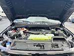 New 2025 Ford F-150 XLT SuperCrew Cab 4WD Pickup for sale #H50509 - photo 31