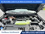 New 2025 Ford F-150 XLT SuperCrew Cab 4WD Pickup for sale #H50516 - photo 31