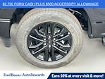 New 2025 Ford F-150 XLT SuperCrew Cab 4WD Pickup for sale #H50516 - photo 32