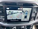 New 2025 Ford F-150 XLT SuperCrew Cab 4WD Pickup for sale #H50518 - photo 14