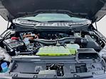 New 2025 Ford F-150 XLT SuperCrew Cab 4WD Pickup for sale #H50518 - photo 30