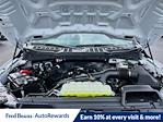 New 2025 Ford F-150 XL Regular Cab 4WD Pickup for sale #H50561 - photo 24
