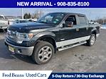 2014 Ford F-150 SuperCrew Cab 4WD Pickup for sale #HU601281 - photo 3