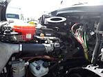 Used 2019 Freightliner Cascadia Detroit Diesel DD15 Semi Truck with Sleeper Cab for sale #597029 - photo 9