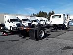 2019 International DuraStar 4300 SBA 4x2 Cab Chassis for sale #808331 - photo 5