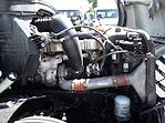 Used 2019 Freightliner Cascadia Detroit Diesel DD15 Semi Truck with Sleeper Cab for sale #830479 - photo 14