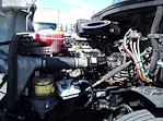 Used 2019 Freightliner Cascadia Detroit Diesel DD15 Semi Truck with Sleeper Cab for sale #830479 - photo 9