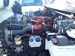 Used 2019 Freightliner M2 106 Conventional Cab Box Truck for sale #865157 - photo 9