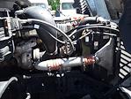 2019 Freightliner Cascadia Day Cab 6x4 Semi Truck for sale #867574 - photo 12