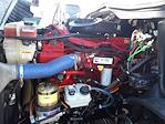 Used 2020 Freightliner Cascadia Cummins X15 Semi Truck with Sleeper Cab for sale #875325 - photo 9