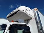 Used 2019 Isuzu NRR Refrigerated Body for sale #879523 - photo 7