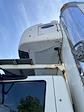 Used 2019 International DuraStar 4300 Refrigerated Body for sale #814951 - photo 7