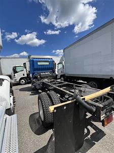 Used 2019 Hino 195 Single Cab Cab Chassis for sale #873840 - photo 2