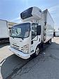 Used 2019 Isuzu NQR Refrigerated Body for sale #883260 - photo 1