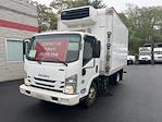 2017 Isuzu NPR-HD Regular Cab 4x2 Refrigerated Body for sale #670675 - photo 1