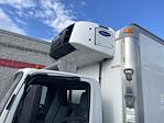 Used 2017 Isuzu NPR-XD Refrigerated Body for sale #685258 - photo 7