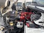 Used 2019 Freightliner M2 106 Conventional Cab Box Truck for sale #839516 - photo 9