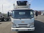 Used 2019 Chevrolet LCF 4500XD Refrigerated Body for sale #234505 - photo 3