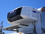 Used 2016 International DuraStar 4300 Refrigerated Body for sale #396962 - photo 7
