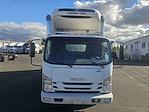 2017 Isuzu NQR Regular Cab 4x2 Refrigerated Body for sale #670692 - photo 3