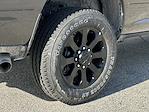 2024 Ram 2500 Crew Cab 4x4 Pickup for sale #4M9027 - photo 9