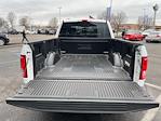 2015 Ford F-150 SuperCrew Cab 4x2, Pickup for sale #F3314 - photo 8