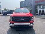 2023 Ford F-150 Regular Cab 4x2 Pickup for sale #F3950 - photo 12