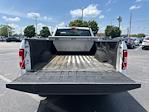 2019 Ford F-150 Regular Cab 4x2 Pickup for sale #F4008 - photo 8