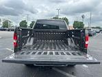 2006 Ford F-150 SuperCrew Cab 4x4 Pickup for sale #F4051A - photo 9