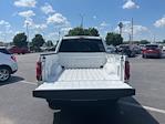 2025 Ford F-150 SuperCrew Cab 4x4 Pickup for sale #F4061 - photo 9
