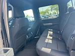 2025 Ford F-150 SuperCrew Cab 4x4 Pickup for sale #F4062 - photo 12