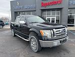 2010 Ford F-150 SuperCrew Cab 4WD Pickup for sale #F4237A - photo 3