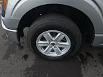 2024 Ford F-150 Regular Cab RWD Pickup for sale #F4531A - photo 11