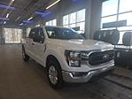 2023 Ford F-150 SuperCrew Cab 4WD Pickup for sale #F4541 - photo 44